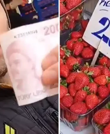 news-1772189521590